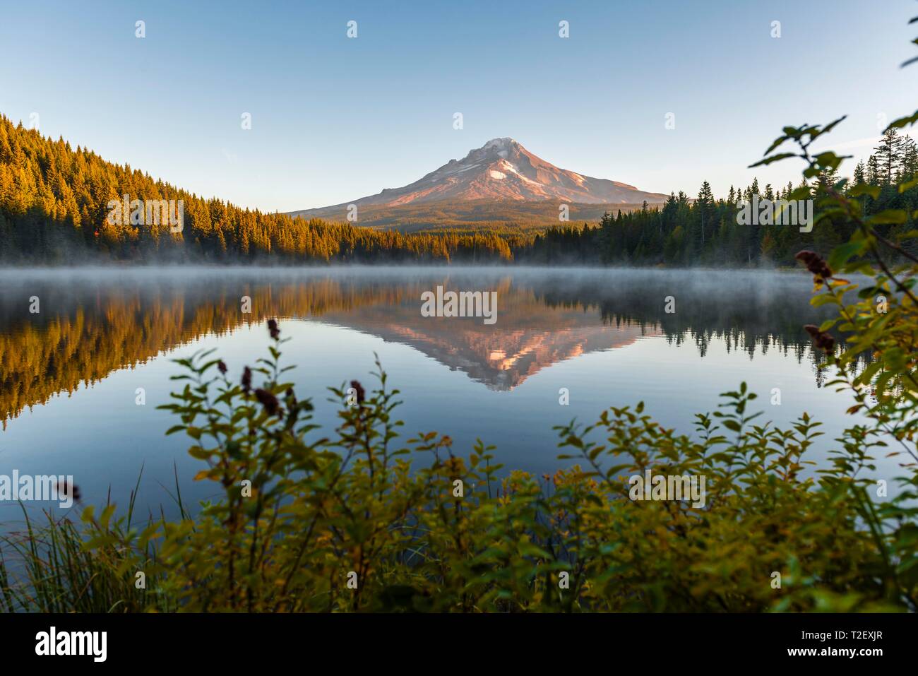 Sunrise, reflection of the volcano Mt. Hood in Lake Trillium Lake ...