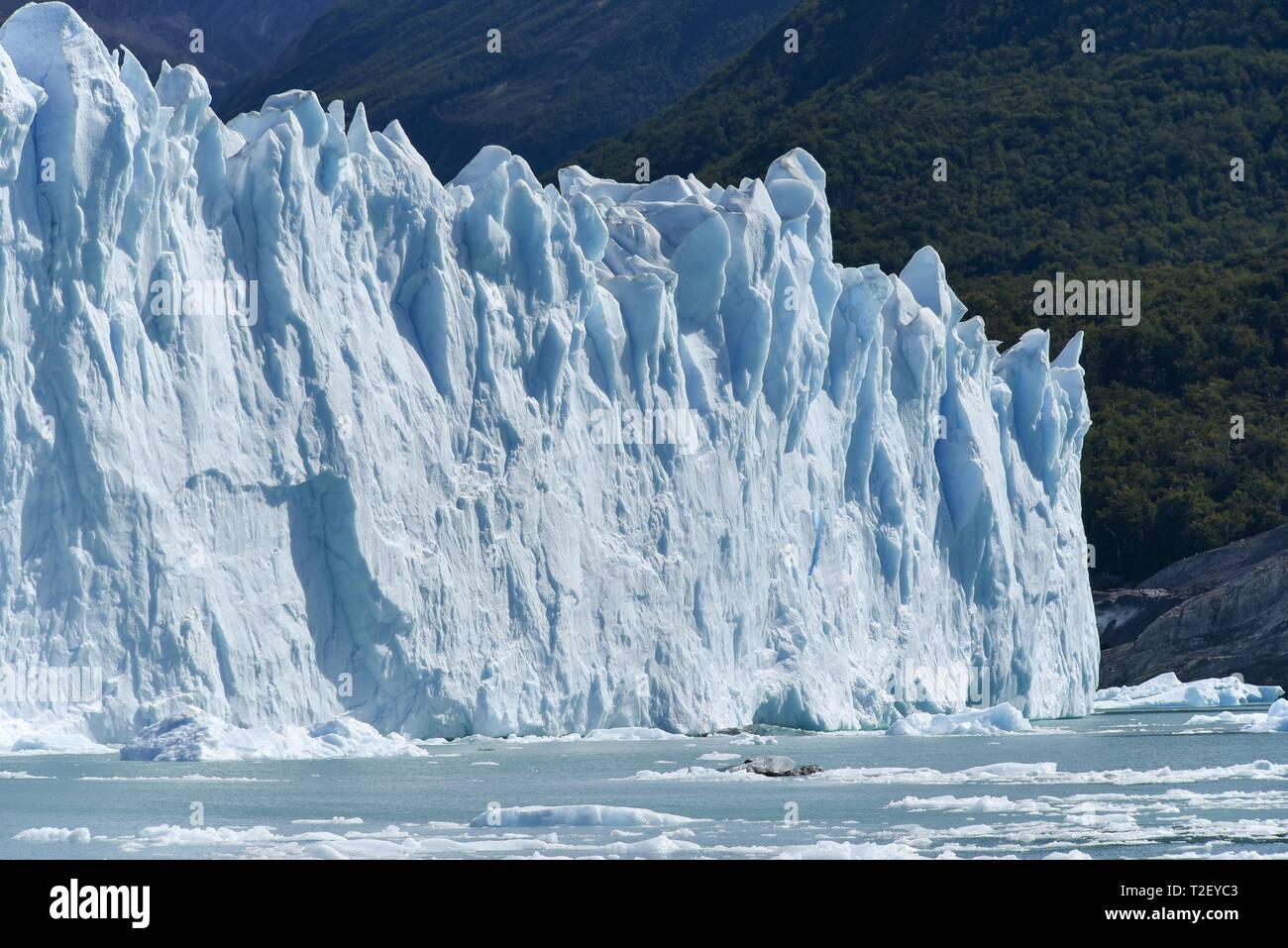 Glacier tongue, Glaciar Perito Moreno Glacier, Abort edge, Los Glaciares National Park, Andes, El Calafate, Santa Cruz, Patagonia, Argentina Stock Photo