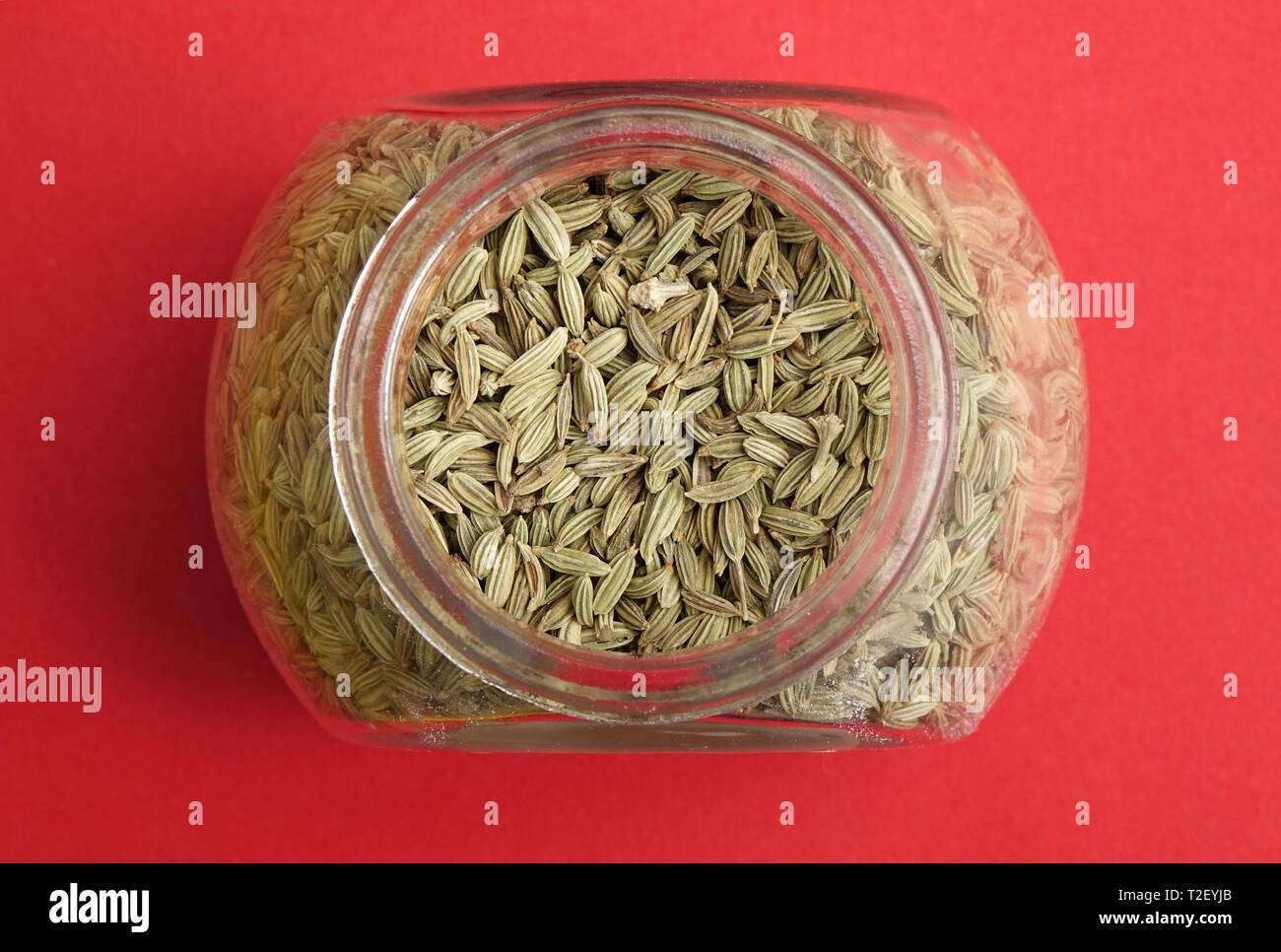 Fennel seed in glass (Foeniculum vulgare), Germany Stock Photo Alamy