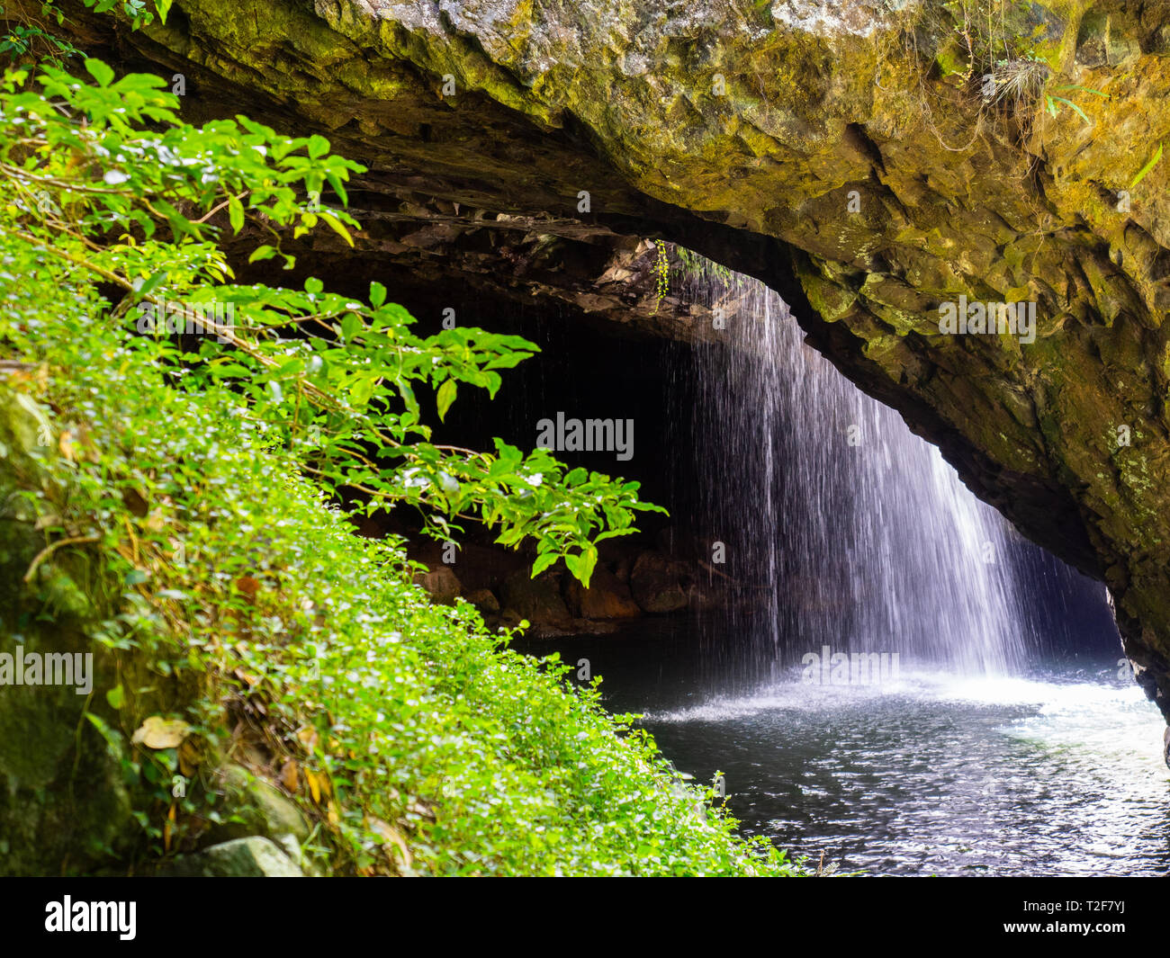 Natural Bridge Springbrook National Park Stock Photo Alamy