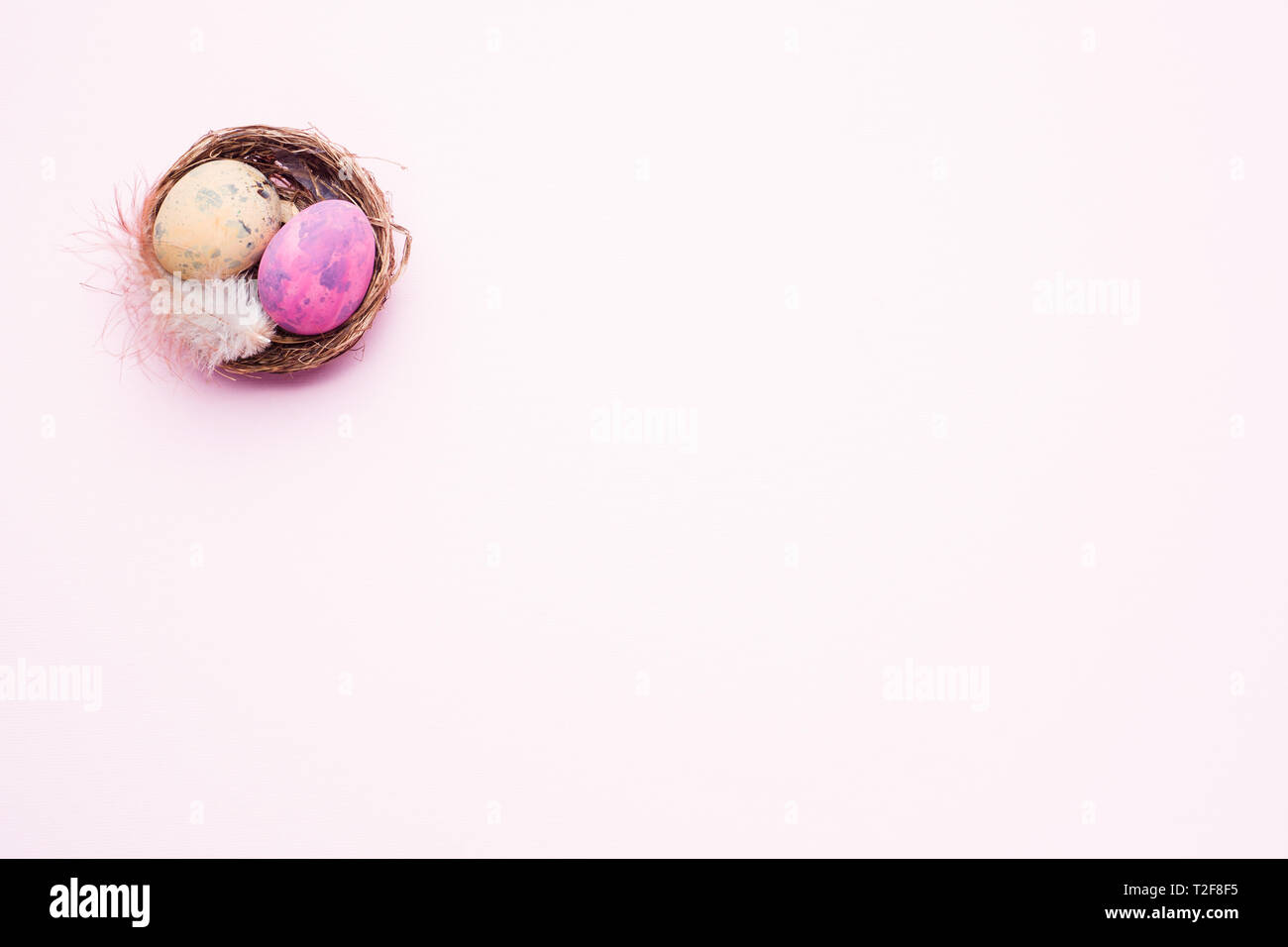 Colorful easter egg in the nest on pink background with copy space ...