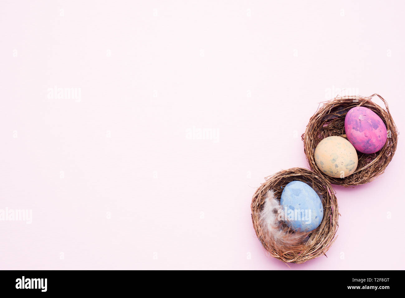 Colorful easter egg in the nest on pink background with copy space ...