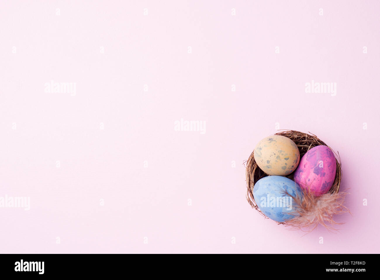 Colorful easter egg in the nest on pink background with copy space ...