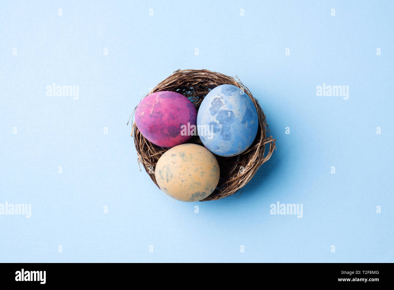 Colorful easter egg in the nest on blue background with copy space ...