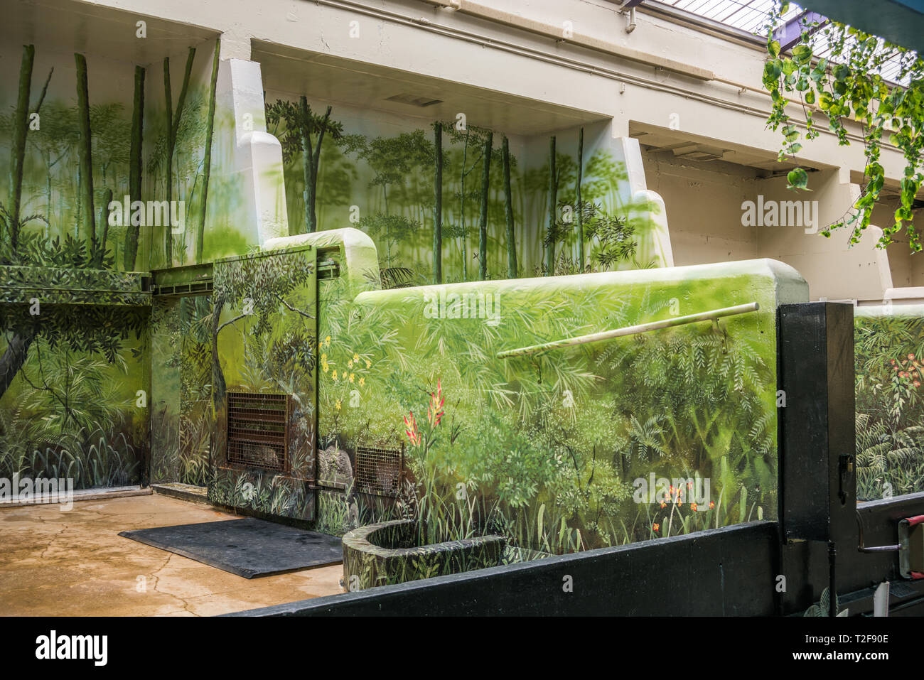 Interior of the Pachyderm House at Brookfield Zoo Stock Photo - Alamy