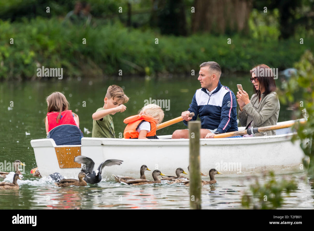 Small family in a rowing boat on a lake in Summer in the UK. Stock Photo