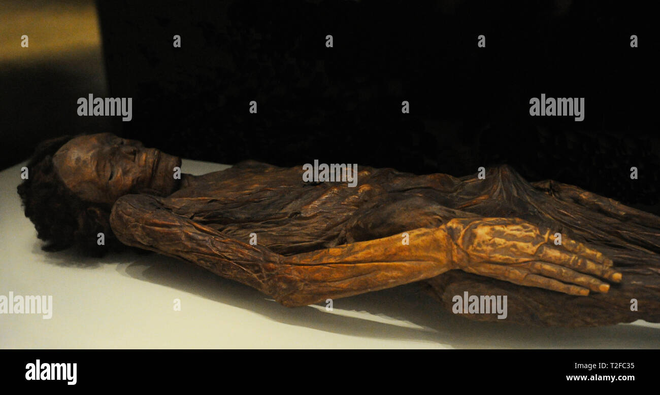 Guanche Culture. Mummified remains of a male. Cliff of Herques (Guimar-Fasnia, Tenerife, Canary Islands, Spain). National Archaeological Museum. Madrid. Spain. Stock Photo