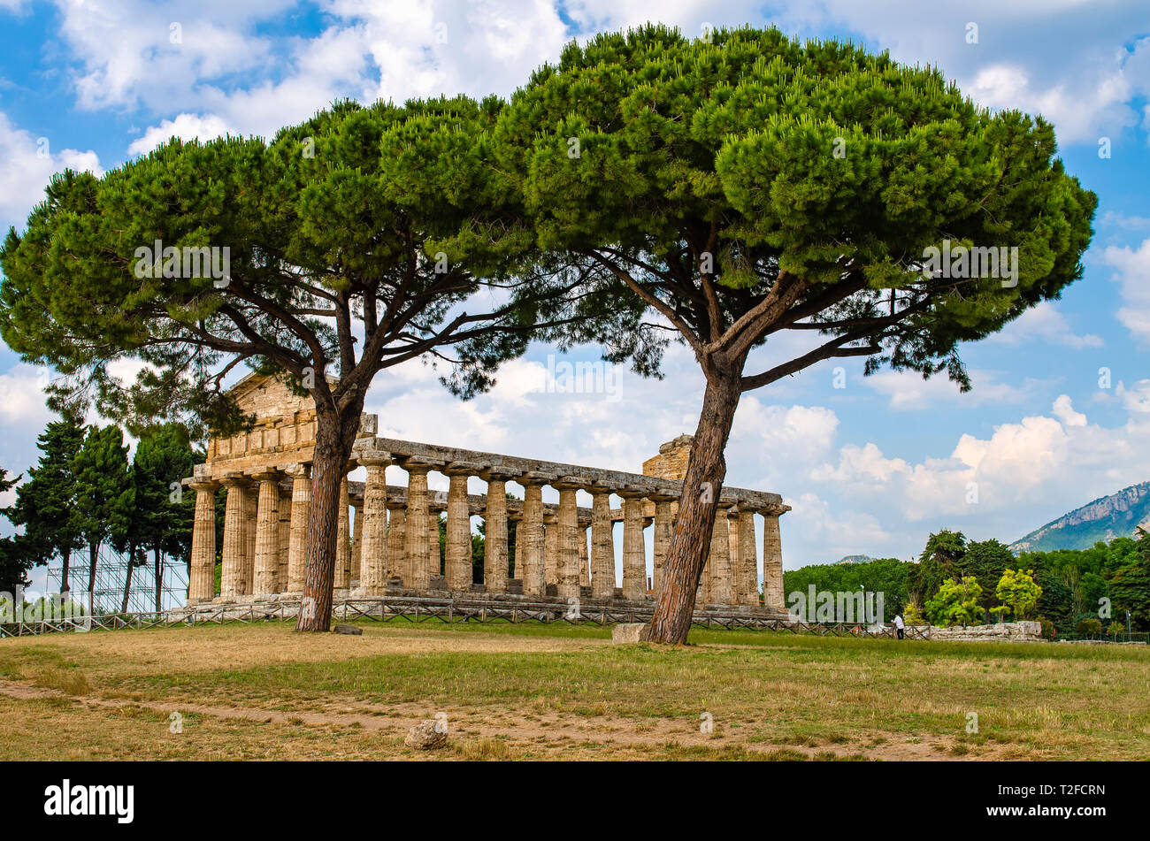 Temple of Athena at Paestum was an ancient Greek city in Magna Graecia, southern Italy. Stock Photo