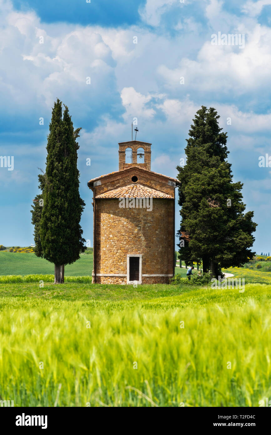 Vitaleta chapel in Spring season, San Quirico d'Orcia, Tuscany, Italy, Europe. Stock Photo