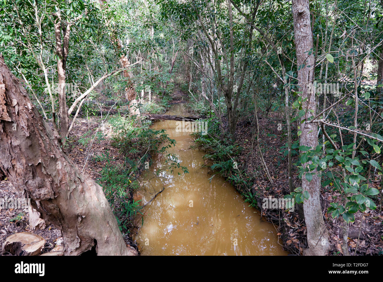 View of Hartley's Crocodile Adventures wildlife sanctuary, Captain Cook Highway, Wangetti, Queensland, Australia. Stock Photo