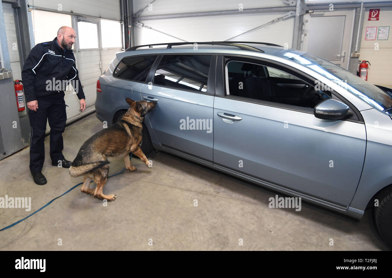 Bremerhaven, Germany. 02nd Apr, 2019. At a press conference of the main customs office Bremen Stefan Klinge, customs dog handler, demonstrates with Etoo, a cash tracker dog, the search for banknotes in a car. The Pk reported among other things about customs duties, drug finds and illegal employment in 2018. Credit: Carmen Jaspersen/dpa/Alamy Live News Stock Photo