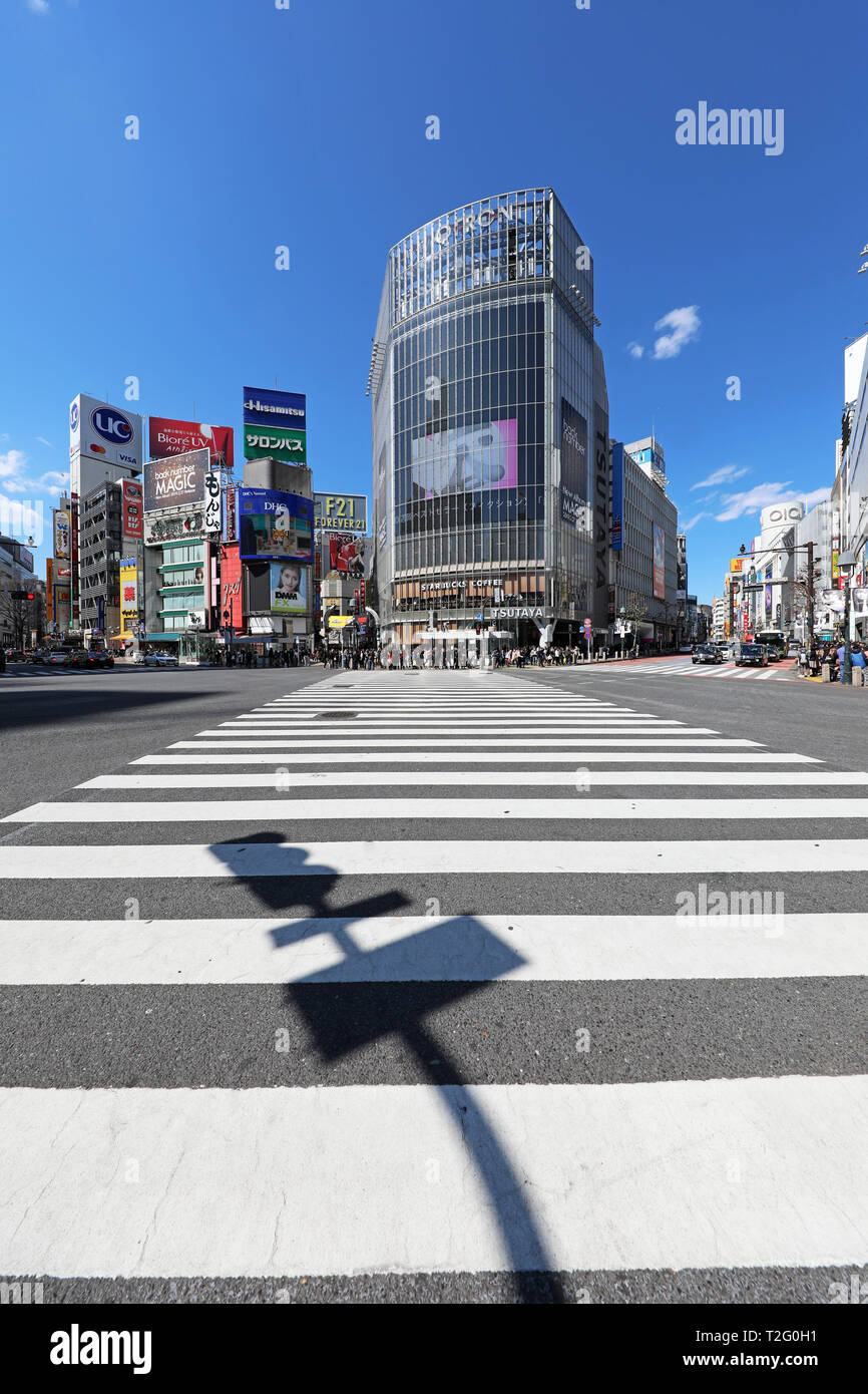 Empty Shibuya pedestrian crossing in Shibuya with shadow, Tokyo, Japan Stock Photo