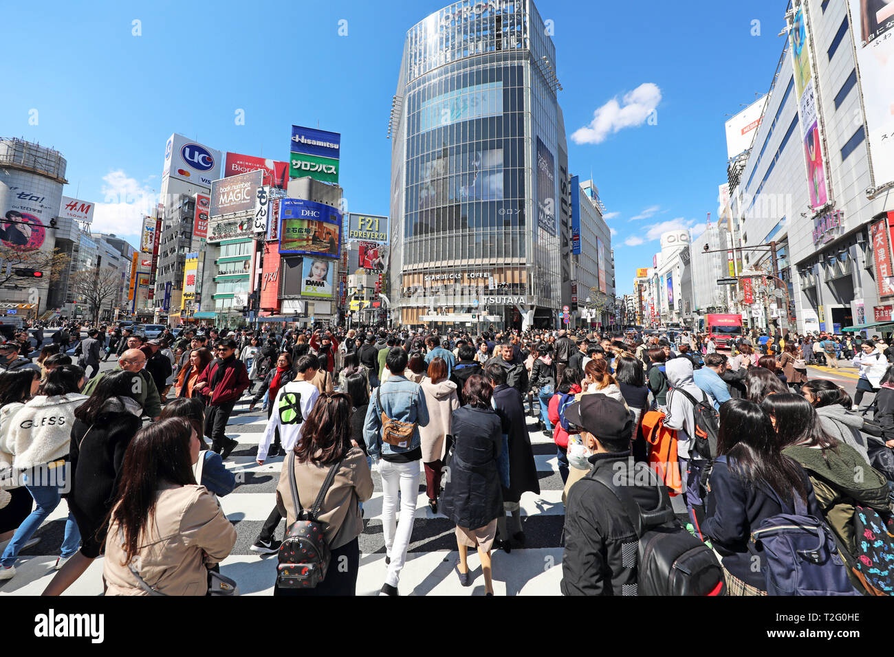 Crowds crossing the Shibuya pedestrian crossing in Shibuya, Tokyo, Japan Stock Photo