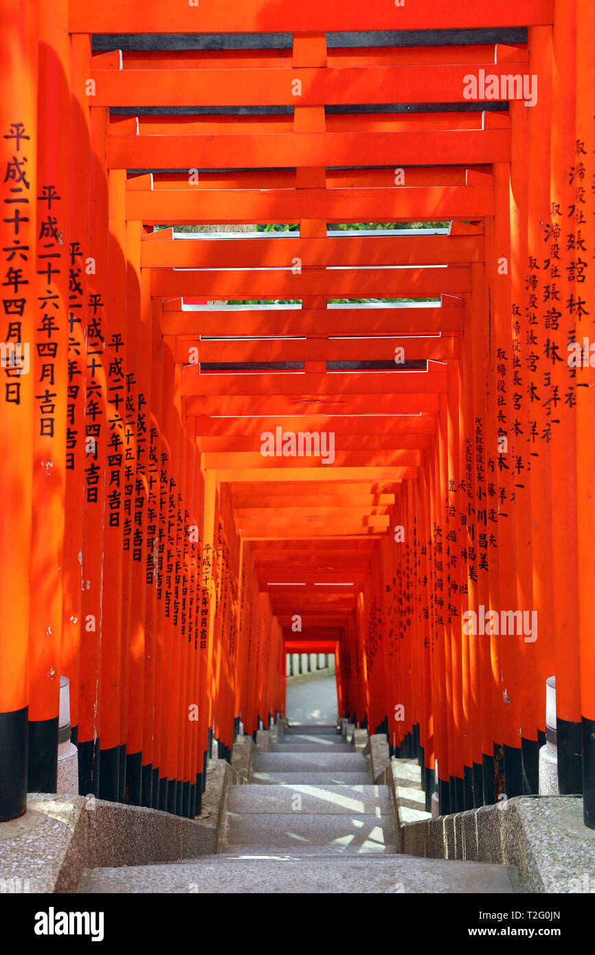 Tunnel of red Torii gates at the Hie Shrine in Asakasa, Tokyo, Japan