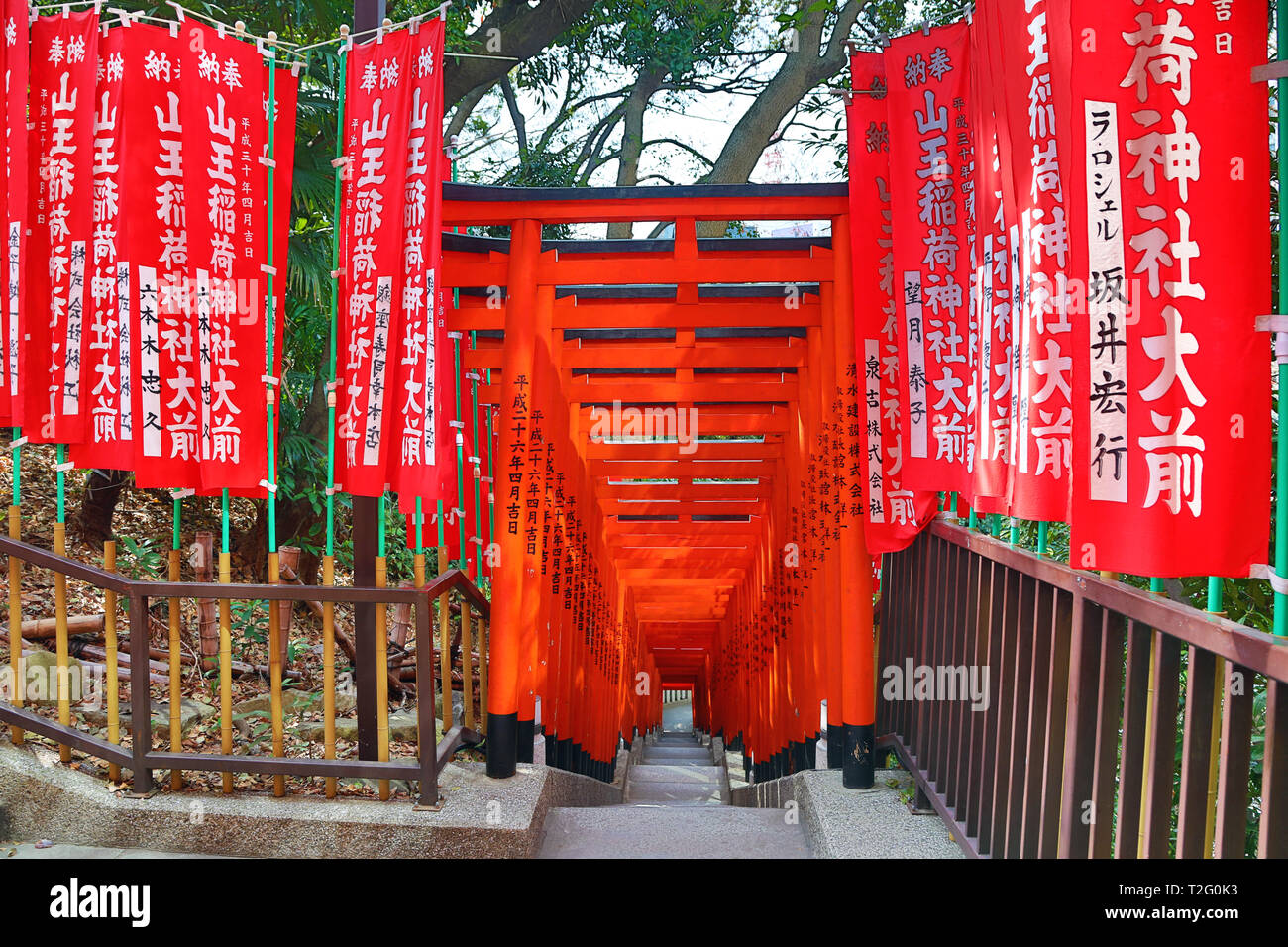 Tunnel of red Torii gates at the Hie Shrine in Asakasa, Tokyo, Japan