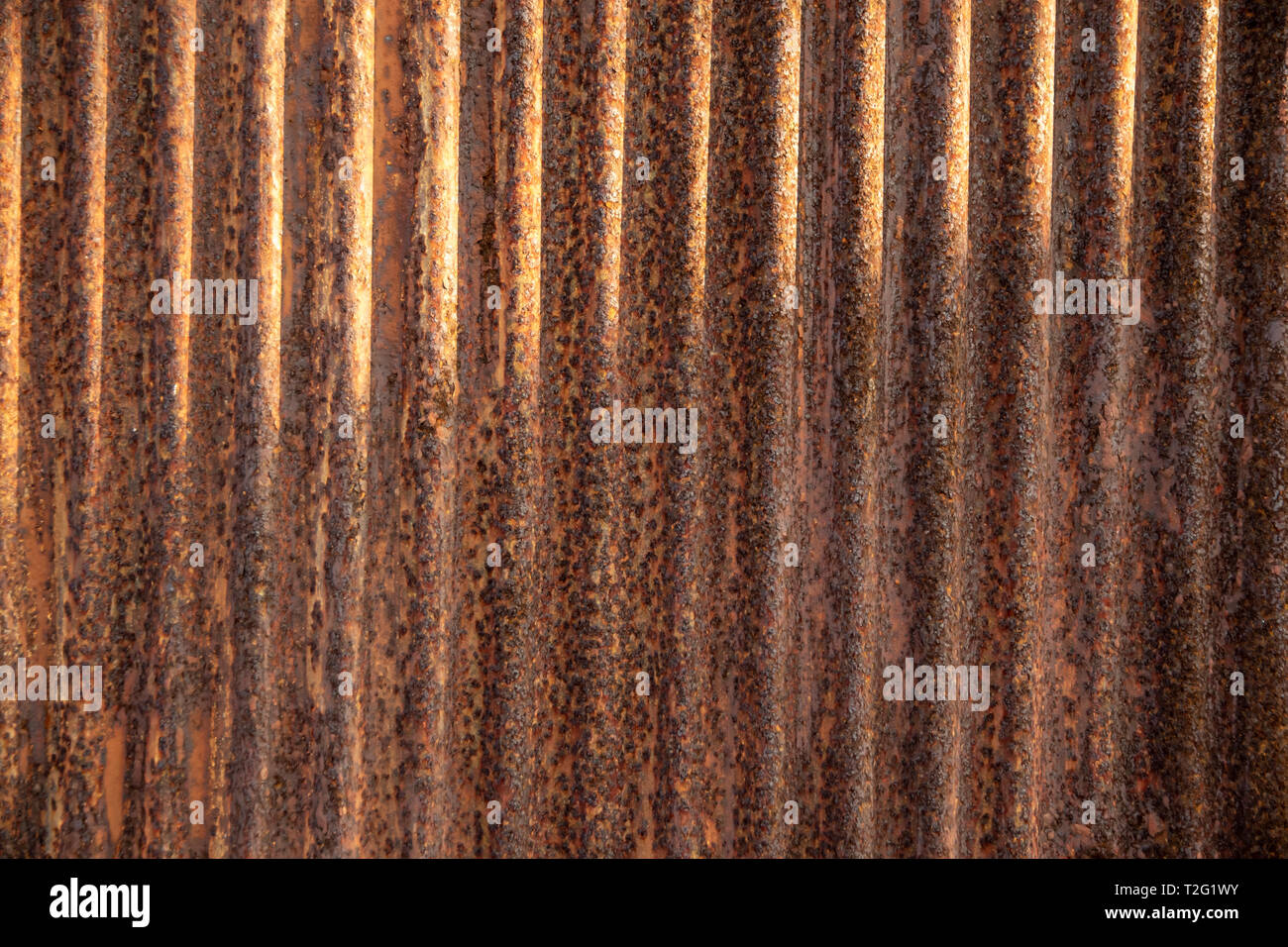 Close up texture and detail rusty on galvanize sheet background. Stock Photo