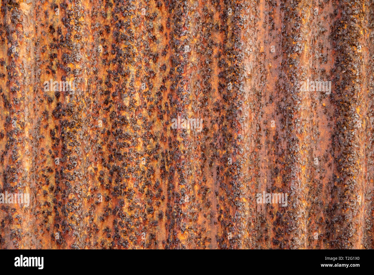 Close up texture and detail rusty on galvanize sheet background. Stock Photo