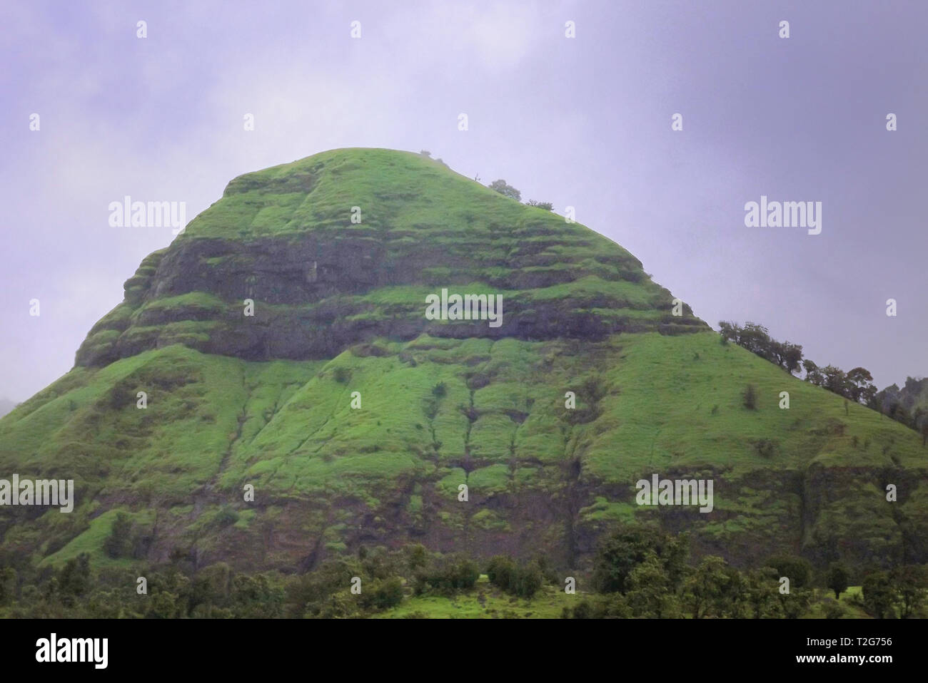 Spectacular view of hill with lush green vegetation against a blue sky Stock Photo
