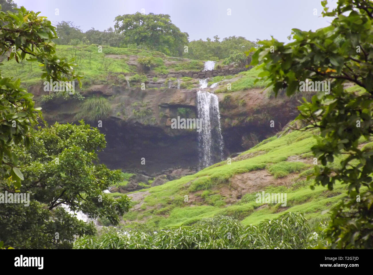 Natural waterfall surrounded by lush green vegetation Stock Photo