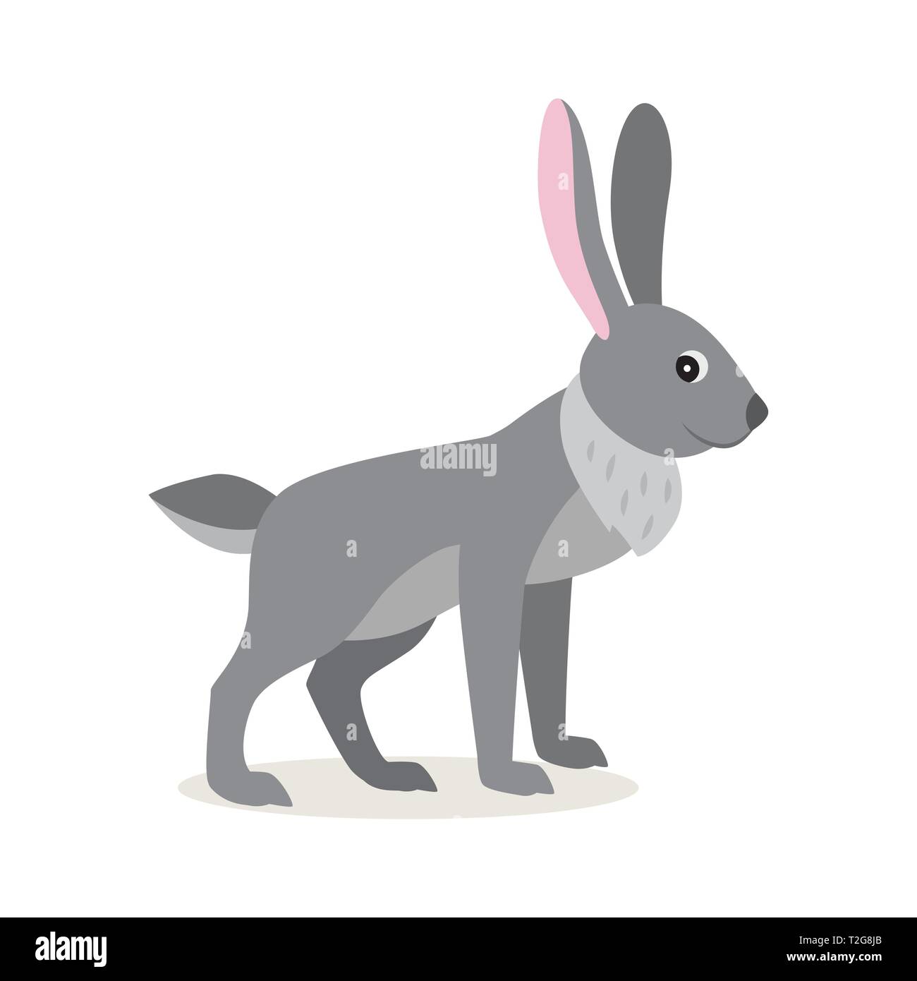 Cute gray rabbit hare isolated on white background, forest, woodland animal, vector illustration in flat style Stock Vector