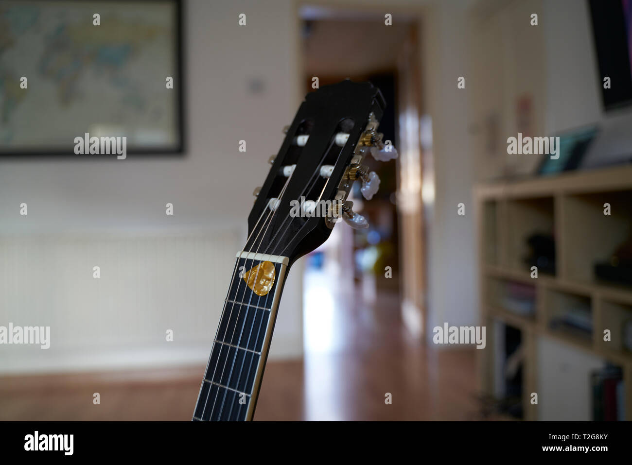 Guitar Neck Stock Photo