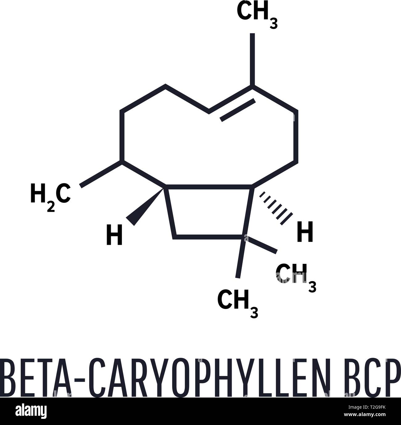 Caryophyllene molecule. Skeletal formula. Constituent of multiple herbal essential oils Stock Vector