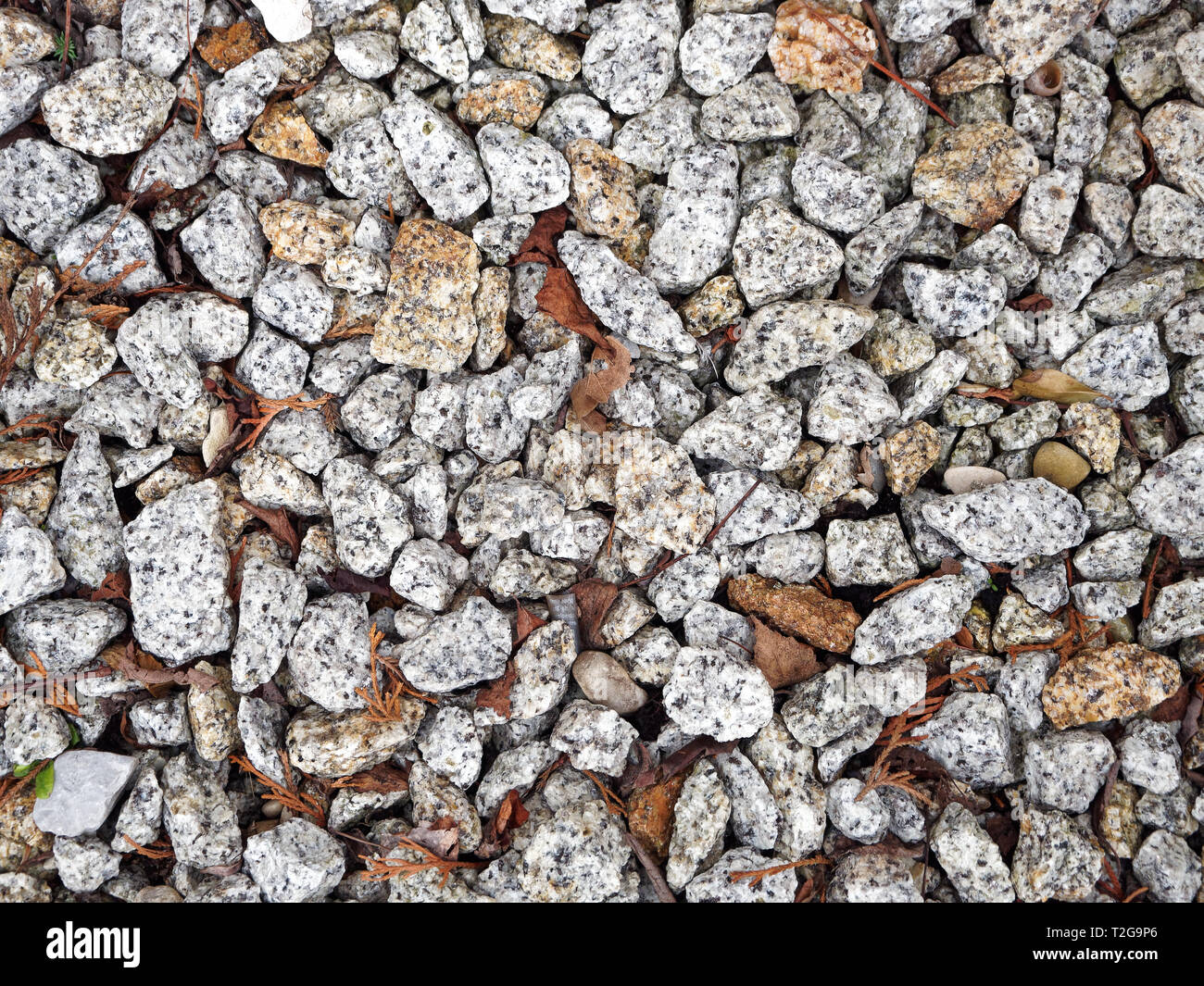 Gray and white granite stones with pieces of leaves in between Stock Photo
