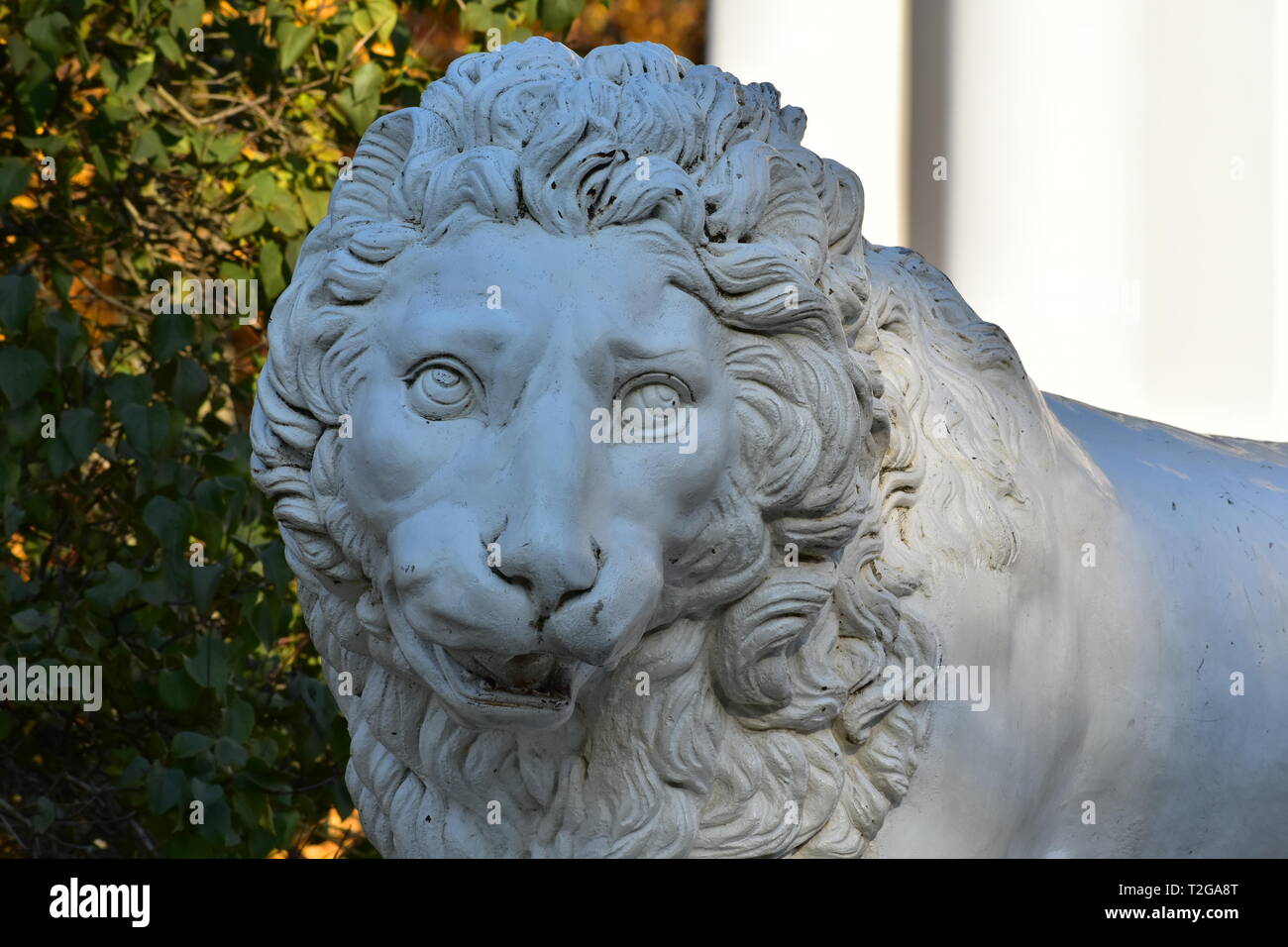 Lion Face Closeup Molding Sculpture Build In 19 Elagin Palace Main Entrance Elagin Island St Petersburg Russia Stock Photo Alamy