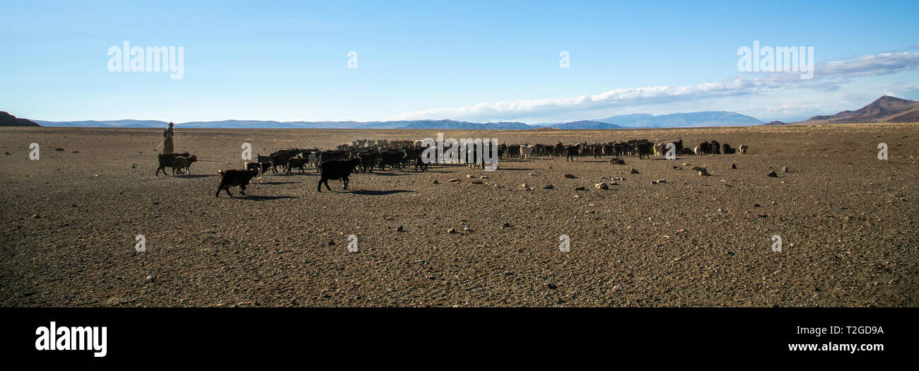 Mongolian nomad hi-res stock photography and images - Alamy