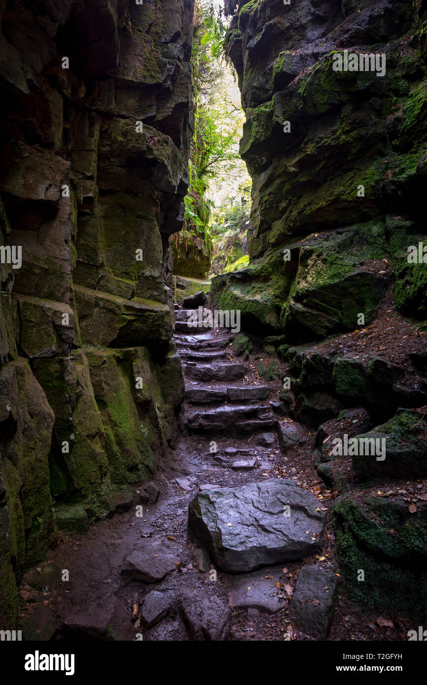 Luds Church, Gradbach, Staffordshire, England. A mysterious rocky chasm in woodland near the Roaches. Stock Photo