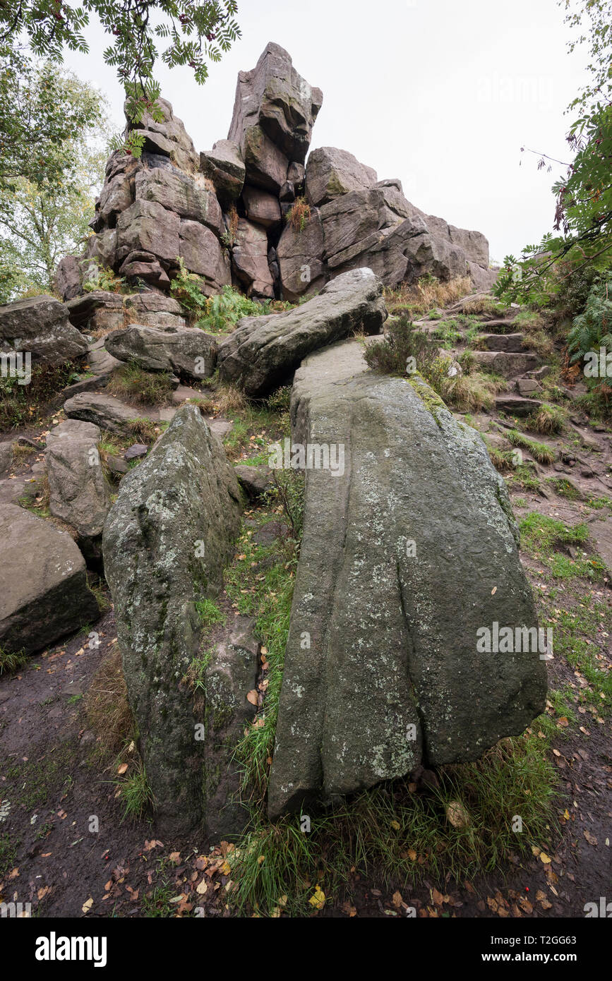 Gritstone outcrop in woodland near Gradbach, Staffordshire, England ...
