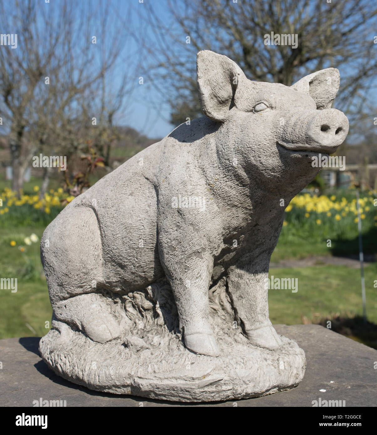 Stone Pig Garden Ornament Stock Photo