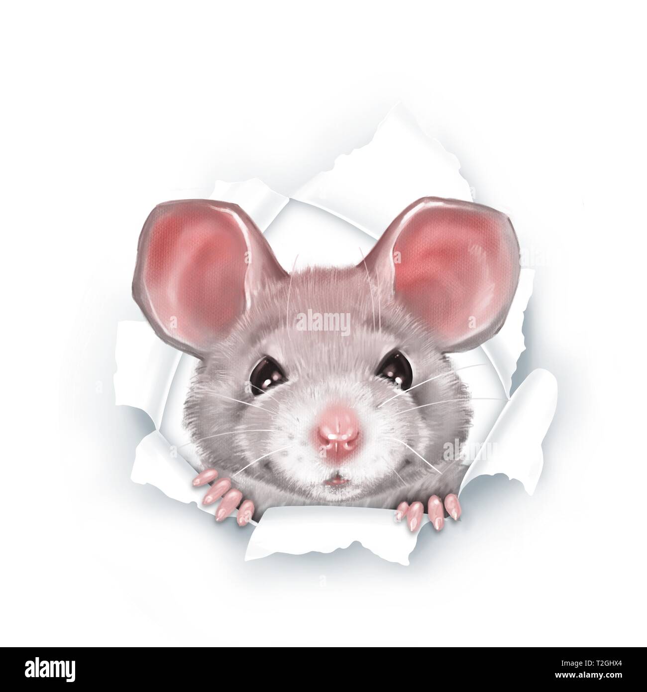 Cute gray cartoon rat, paper breakthrough, digital painting Stock Photo -  Alamy