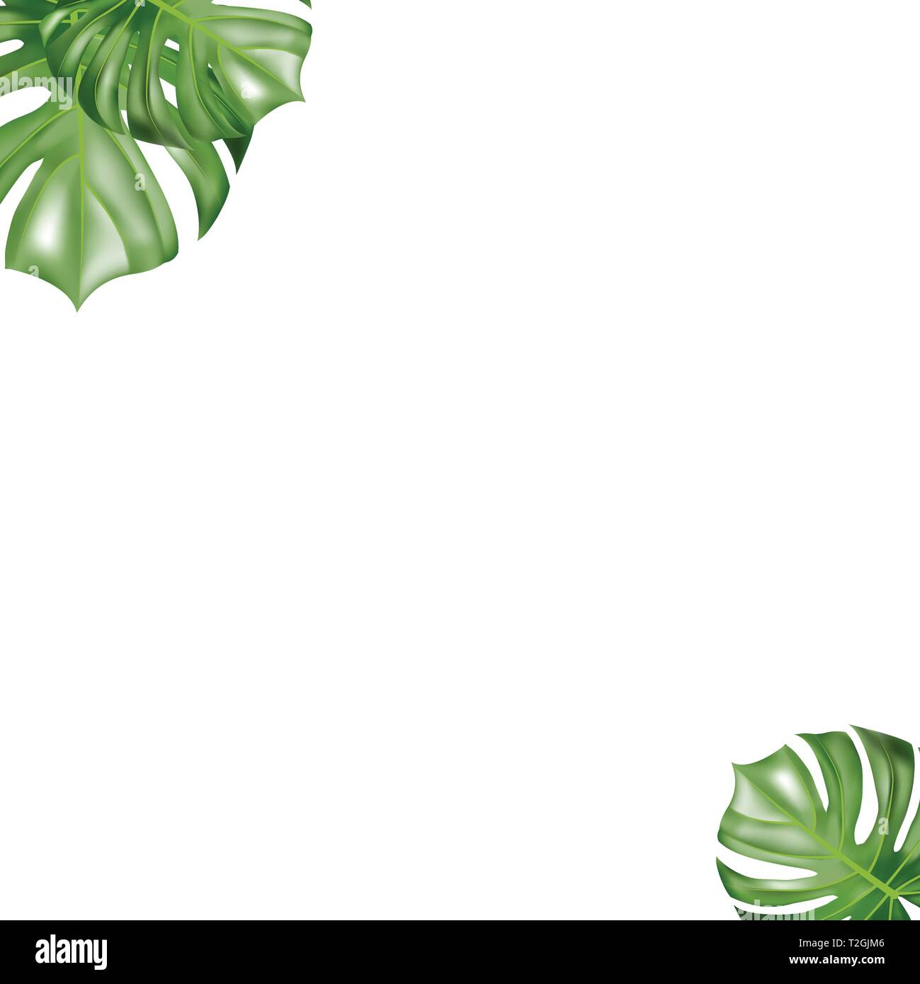 Tropical paper palm leaves frame. Summer tropical leaf Stock Vector ...