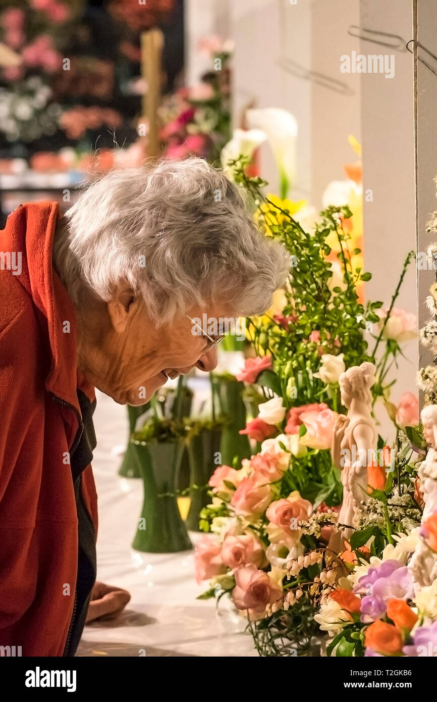 A mature gardening enthusiast looking closely at plants in a flower show. Stock Photo