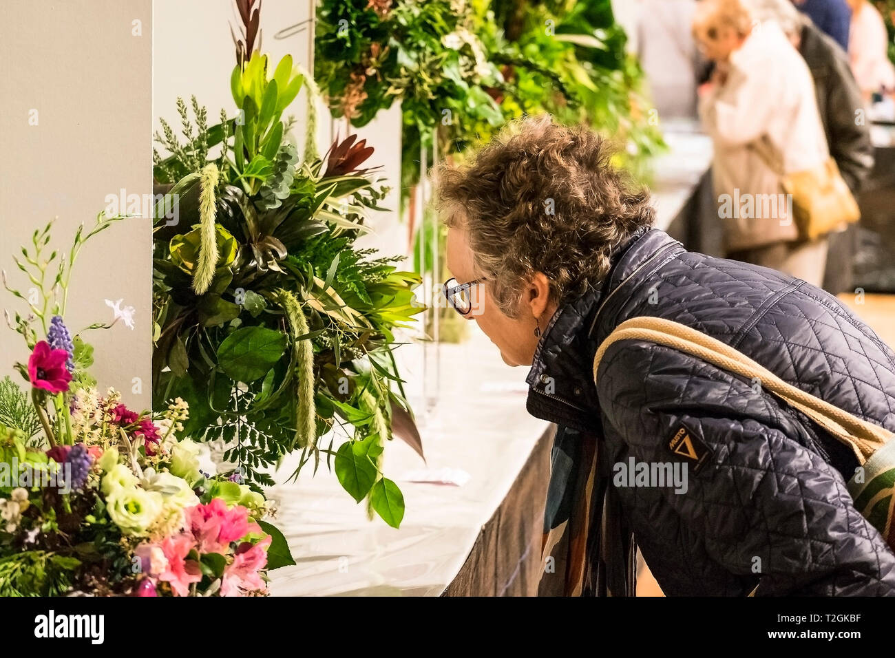 A gardening enthusiast looking closely at plants in a flower show. Stock Photo