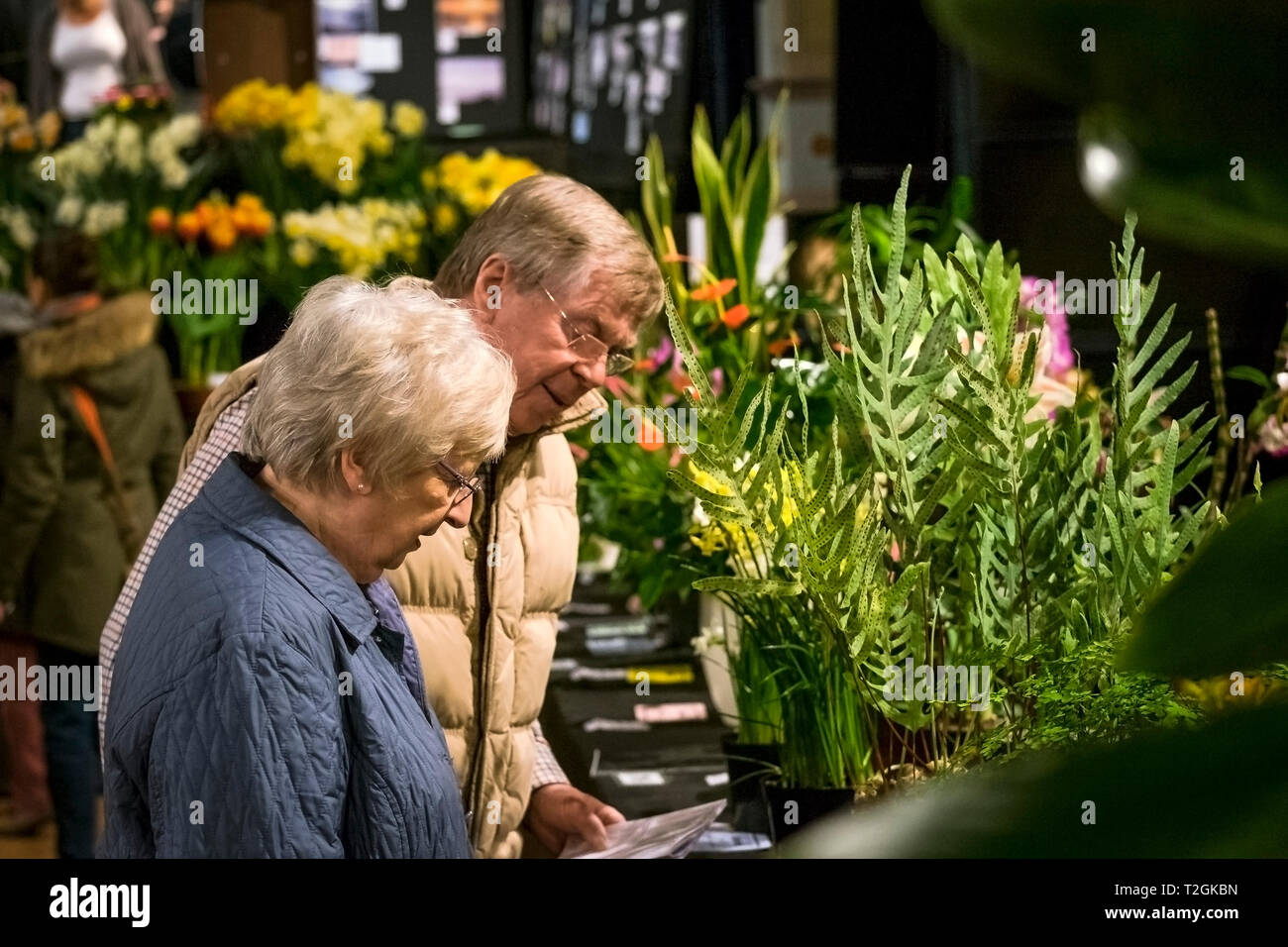 
Gardening enthusiasts