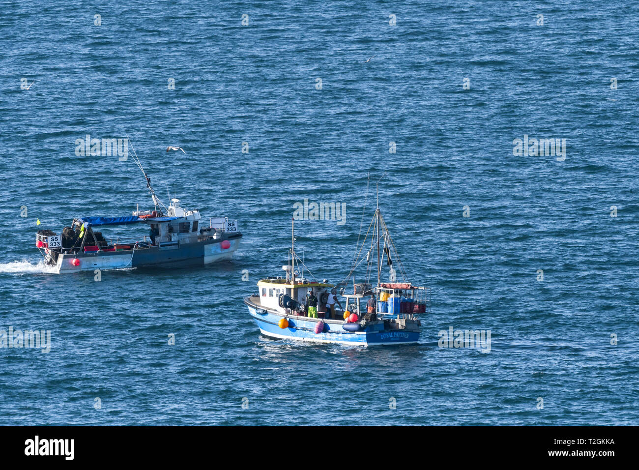 Fishing boats Loyal Partner PZ30 and SS 333 at sea off the coast of Newquay Cornwall. Stock Photo