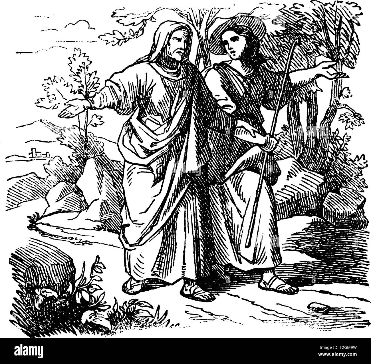 Vintage antique illustration and line drawing or engraving of biblical Ruth and Boaz. Man and woman are walking together. From Biblische Geschichte de Stock Vector