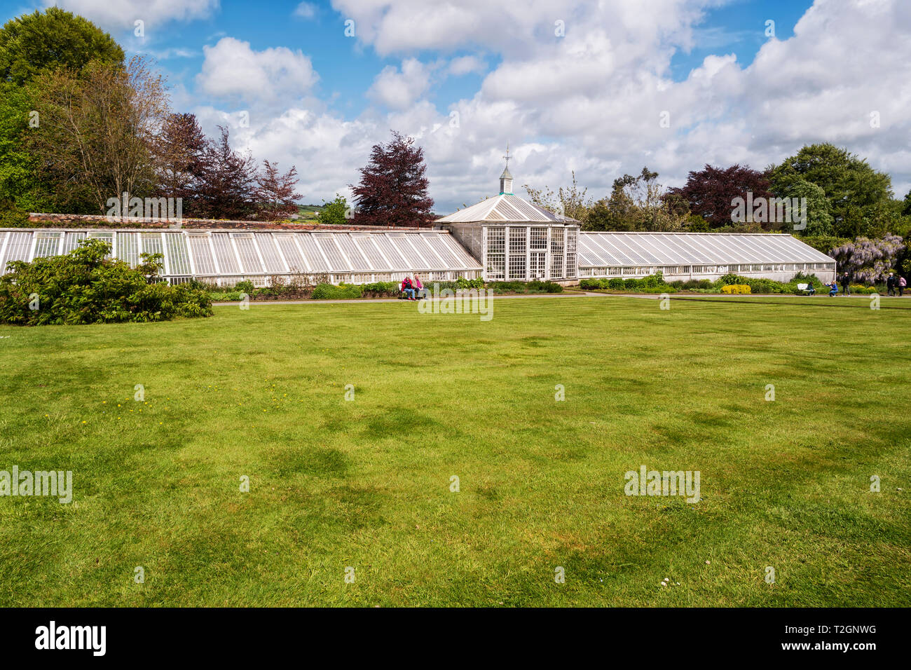 Fine example of Glass House in Mount Congreve Gardens,Co.Waterford,Ireland Stock Photo