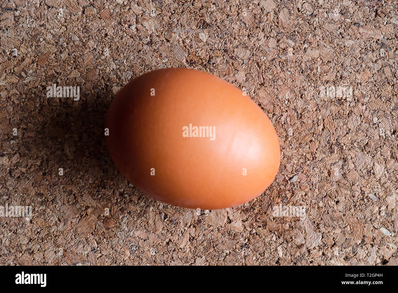 One egg on the cork  background Stock Photo