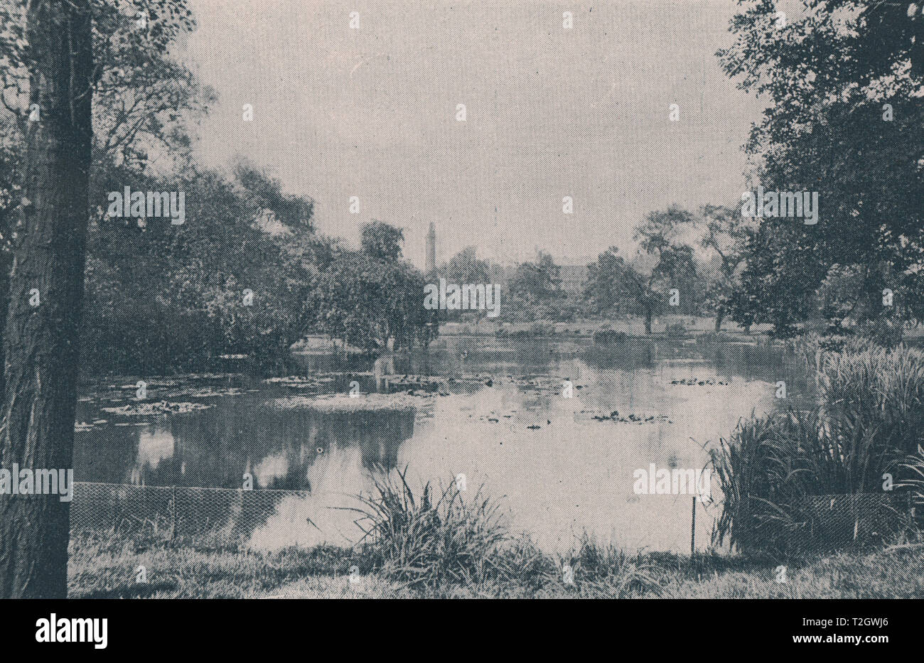 St james park london antique hi-res stock photography and images - Alamy