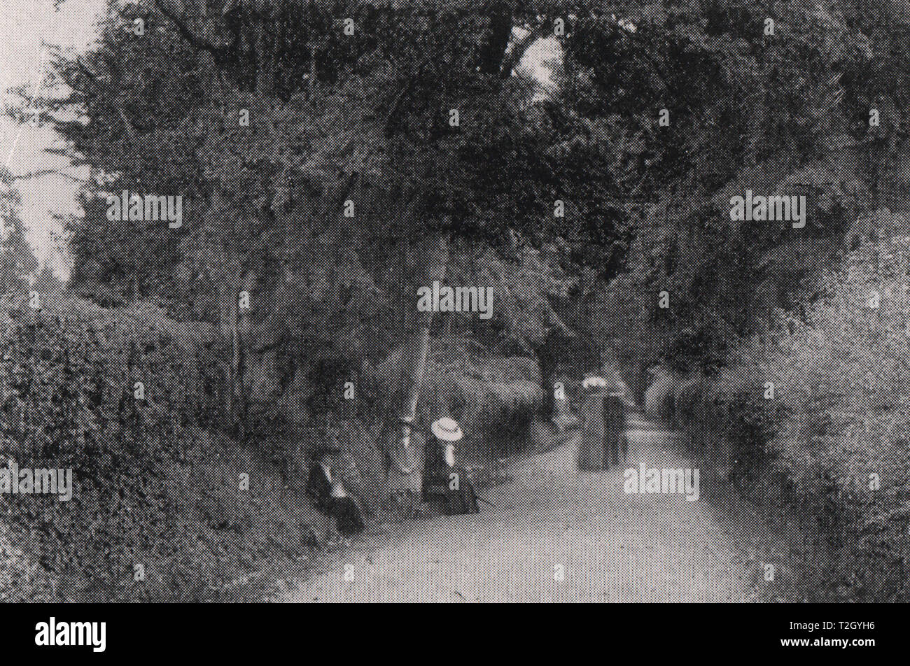 Appley lane ryde isle of wight hires stock photography and images Alamy