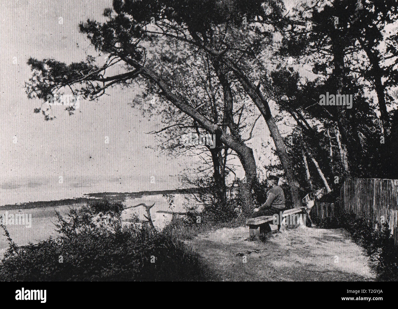 On The Shore Stock Photo Alamy