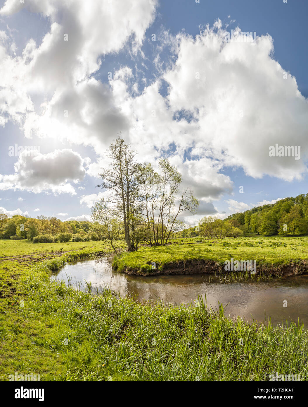 Landscape with small river at Fyledalen valley nature reserve, Tomelilla, Skane, Sweden, Scandinavia. Stock Photo