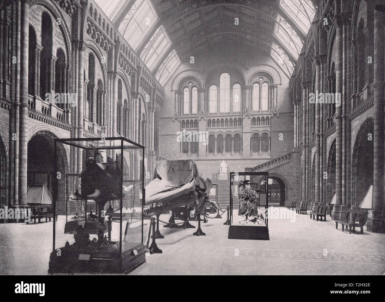 HOW MUCH IS THE ENTRANCE FEE FOR THE NATURAL HISTORY MUSEUM visual data 5