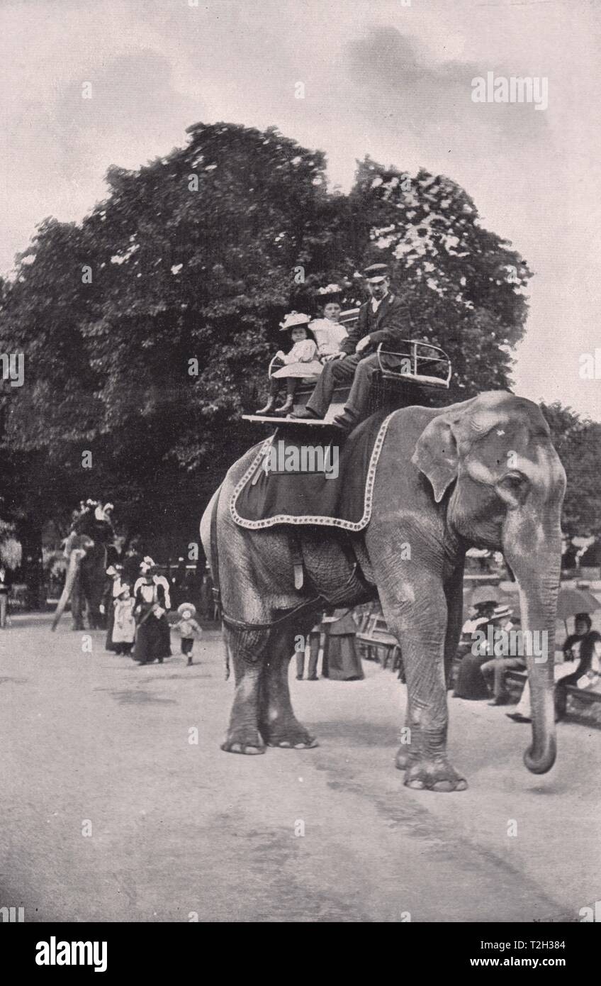 Zoological Gardens - Children Riding on the Elephants Stock Photo