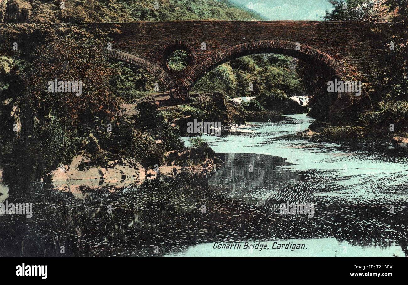 Cenarth Bridge, Cardigan Stock Photo