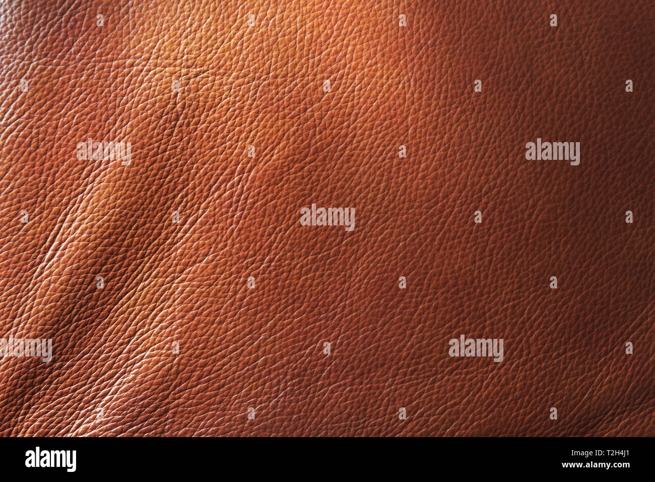 Genuine leather pattern, brown background texture, close up Stock Photo