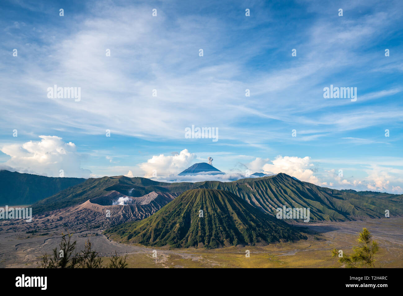 Bromo mountain , day time with dramatic cloud on blue sky Stock Photo